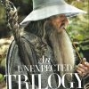 Authentic Gandalf Cloak - Movie Collection - Image 5