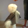 Fellowship Fabric Mini Cloak - Image 2